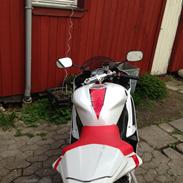 Yamaha YZF R6