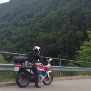 Honda CBR 600 F