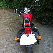 Regal Raptor DD125e