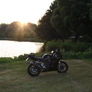 Yamaha R6