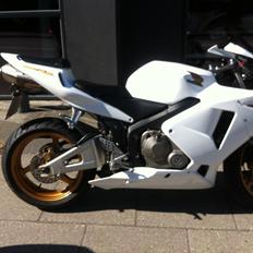 Honda CBR 600 RR