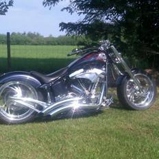 Harley Davidson Customized Fatboy