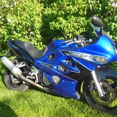 Suzuki GSX 600 F