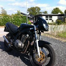 Suzuki gs 500