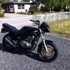 Suzuki gs 500