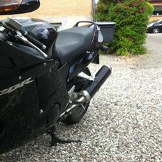 Honda cbr 1100 Super blackbird