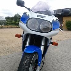 Suzuki GSXR 1100 W (SOLGT)