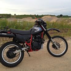Honda XL 600 R