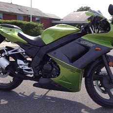 Shineray xy 250