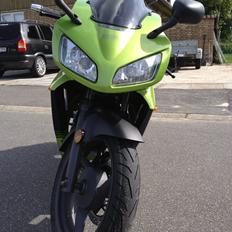 Shineray xy 250