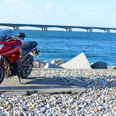 Yamaha XJ6 Diversion