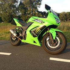 Kawasaki Ninja 250r Monster Edition