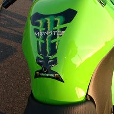Kawasaki Ninja 250r Monster Edition