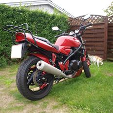 Suzuki GSF Bandit 400 [SOLGT]