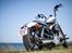 Harley Davidson XL Sporster