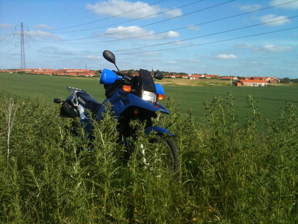 Suzuki Suzuki DR 750 S Big billede 12