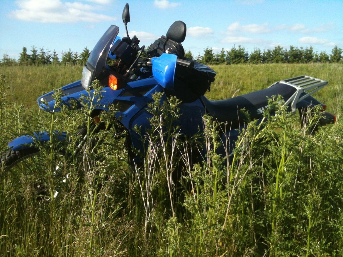 Suzuki Suzuki DR 750 S Big billede 13