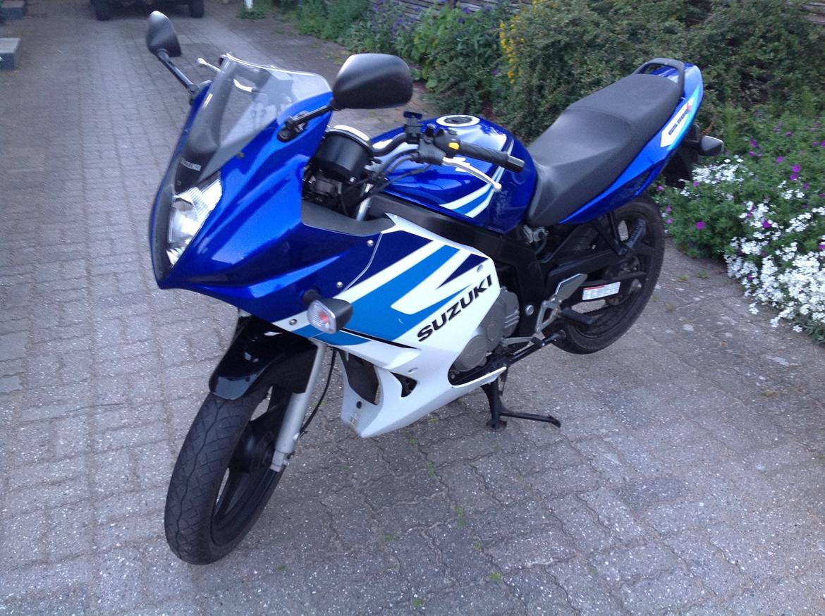 Suzuki GS 500f billede 1