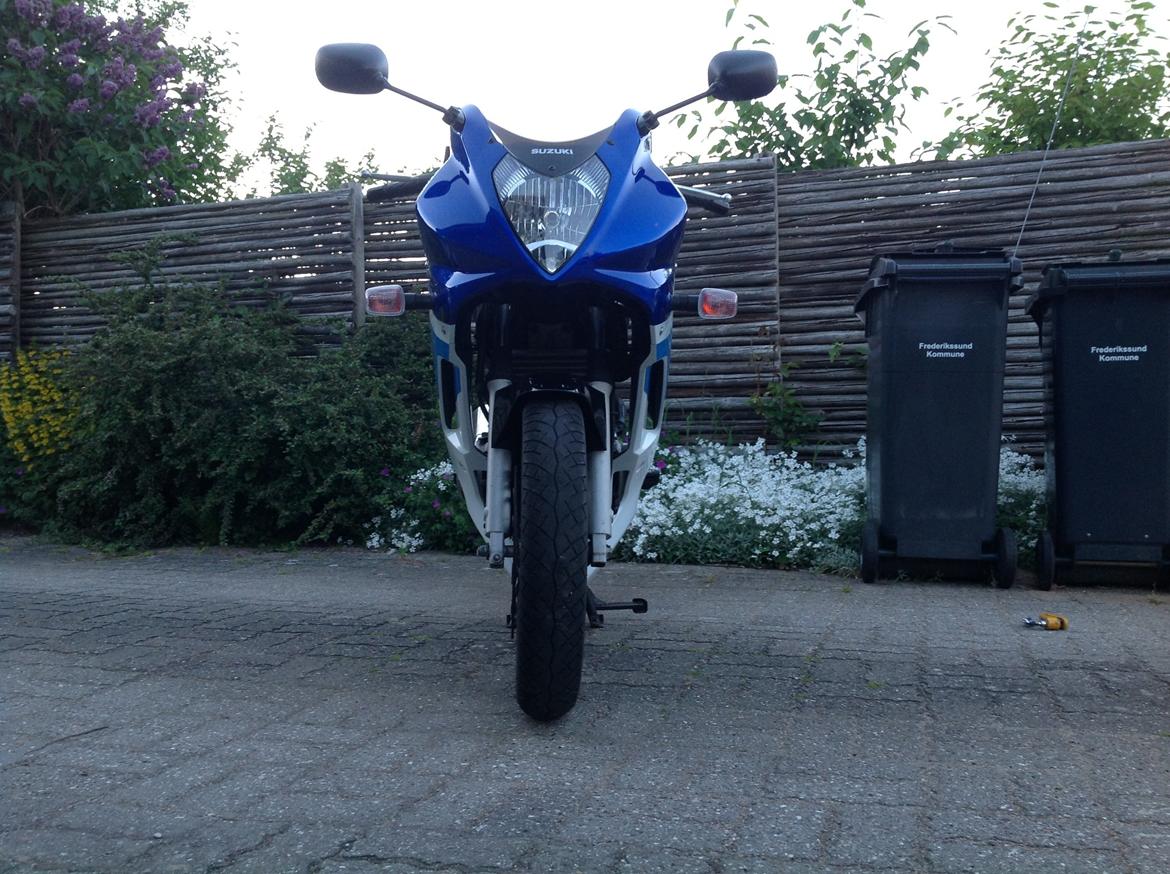 Suzuki GS 500f billede 2