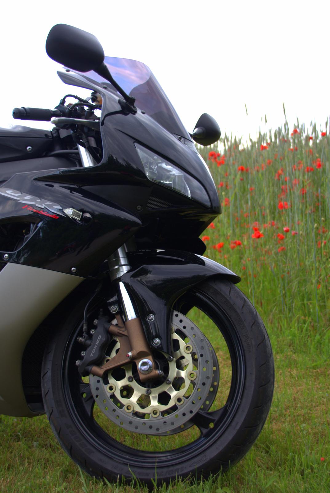 Honda Cbr 1000rr billede 3