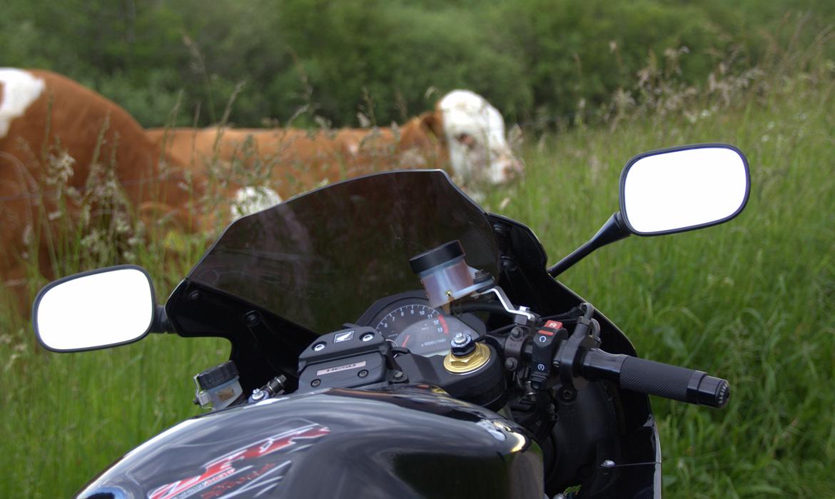 Honda Cbr 1000rr billede 4