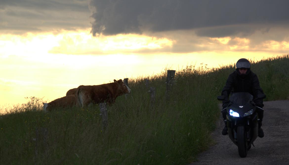 Honda Cbr 1000rr billede 6