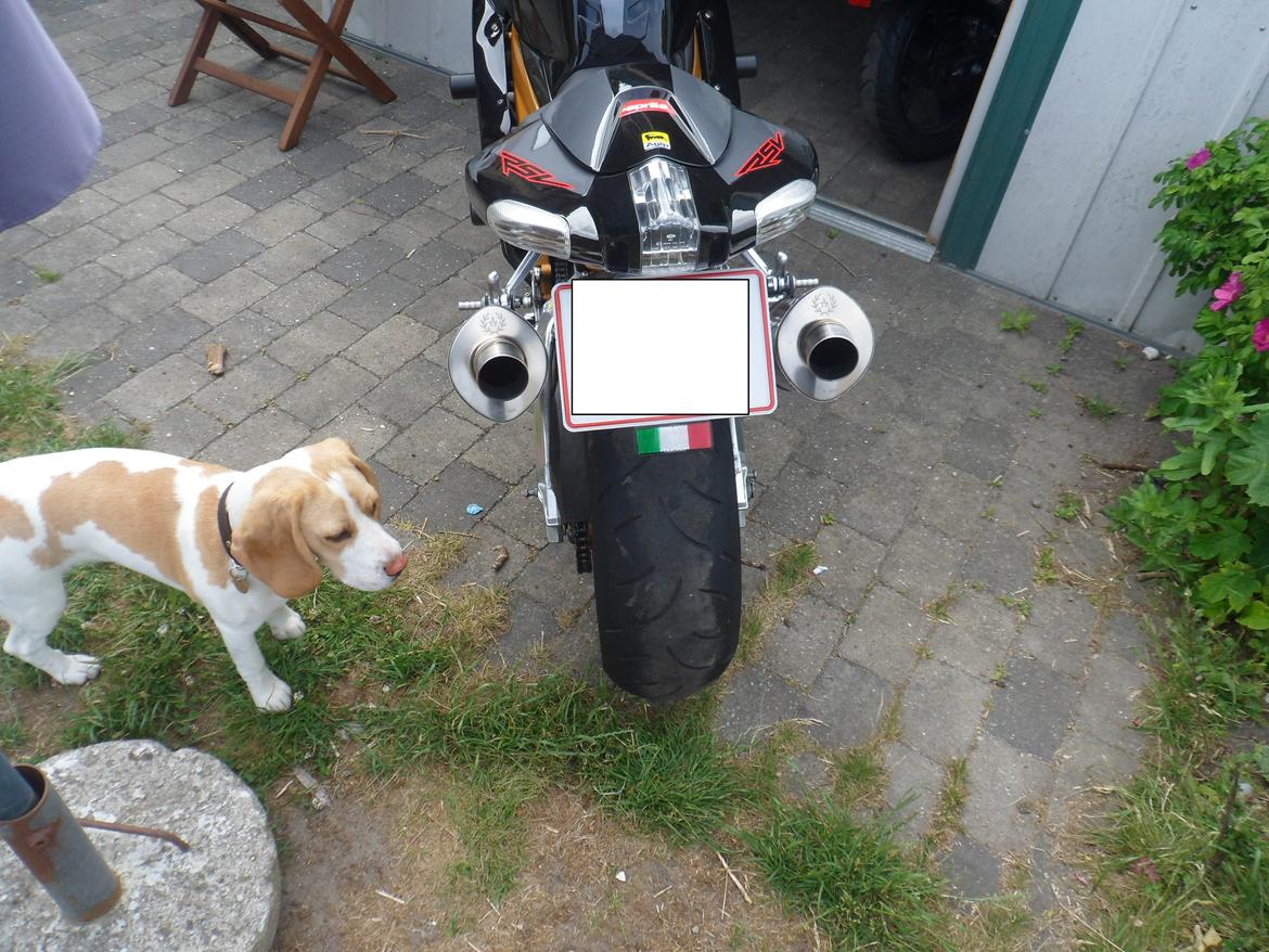 Aprilia RSV 1000 R Factory (solgt) billede 19