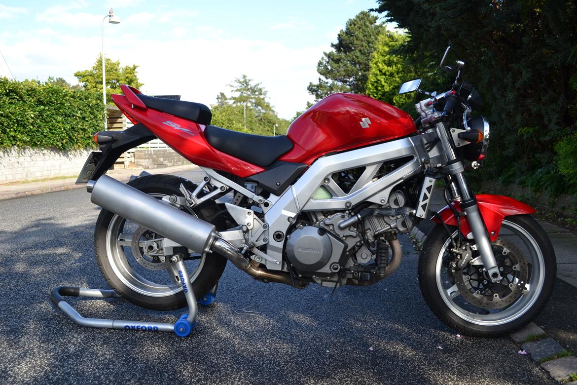 Suzuki SV 1000 N billede 1