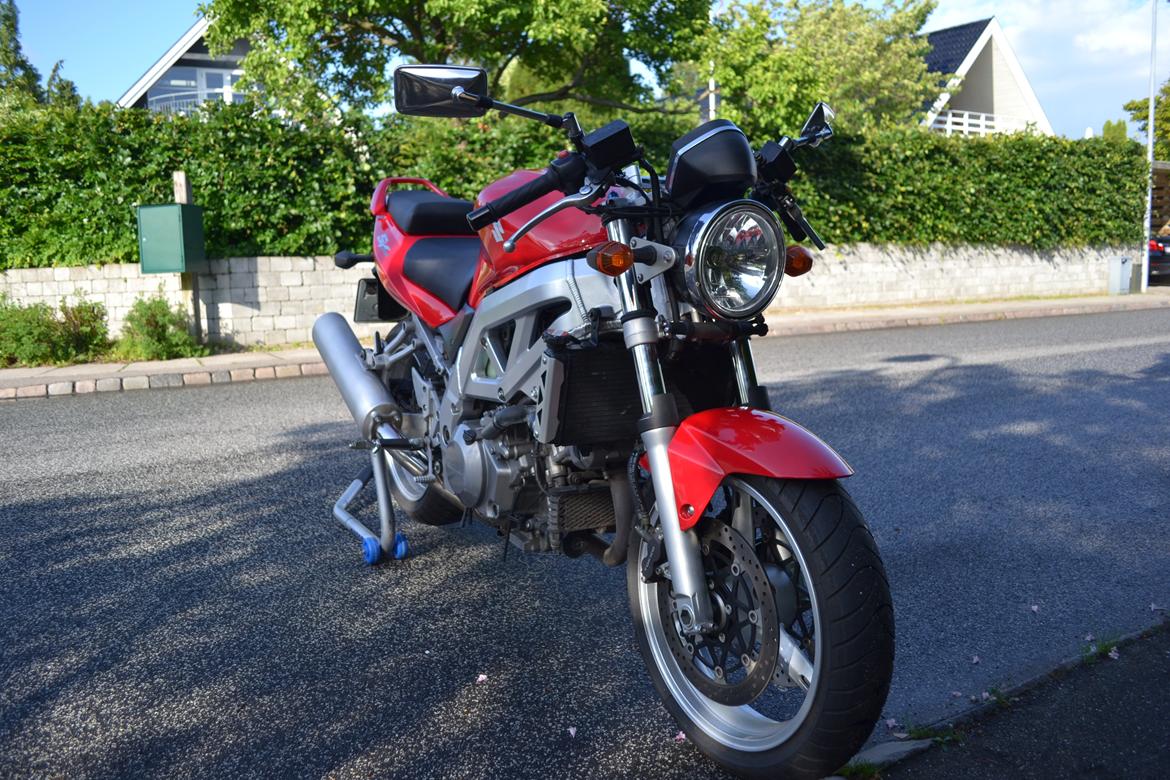 Suzuki SV 1000 N billede 2