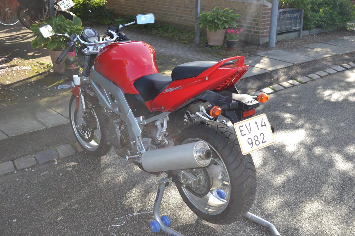 Suzuki SV 1000 N billede 8