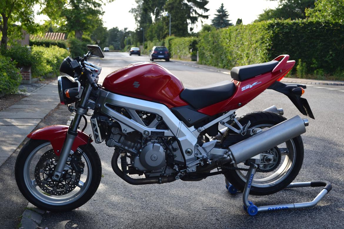 Suzuki SV 1000 N billede 9