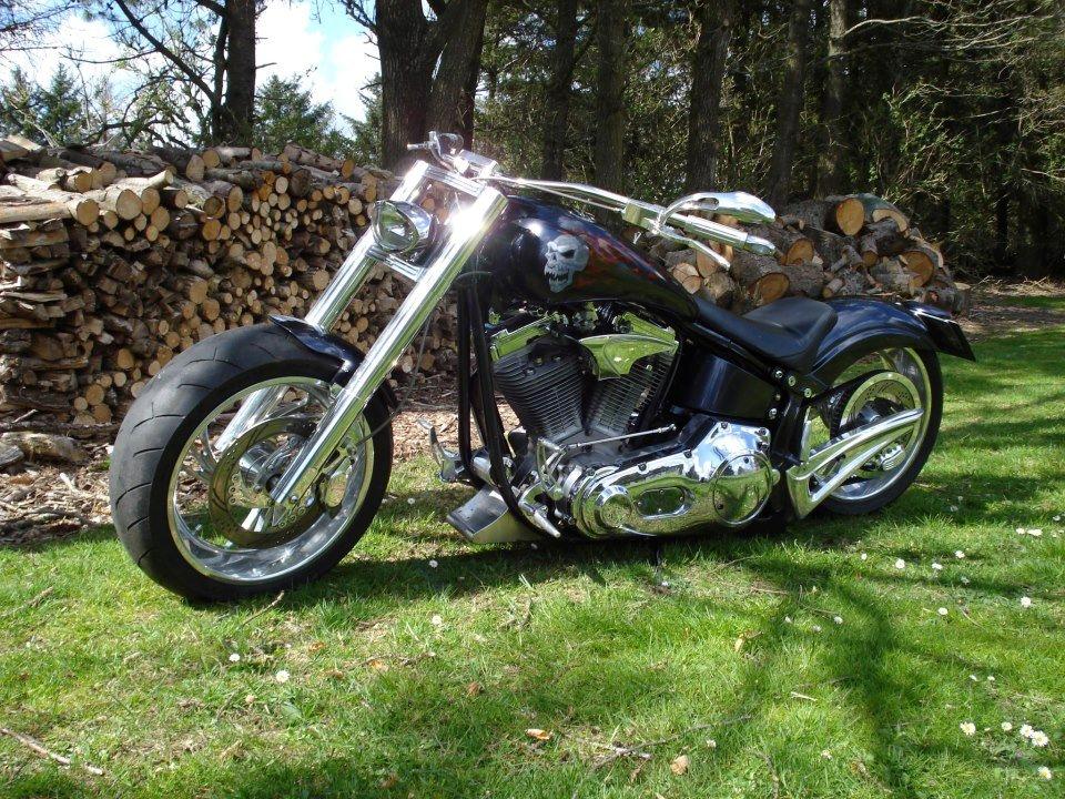 Harley Davidson Customized Fatboy billede 2