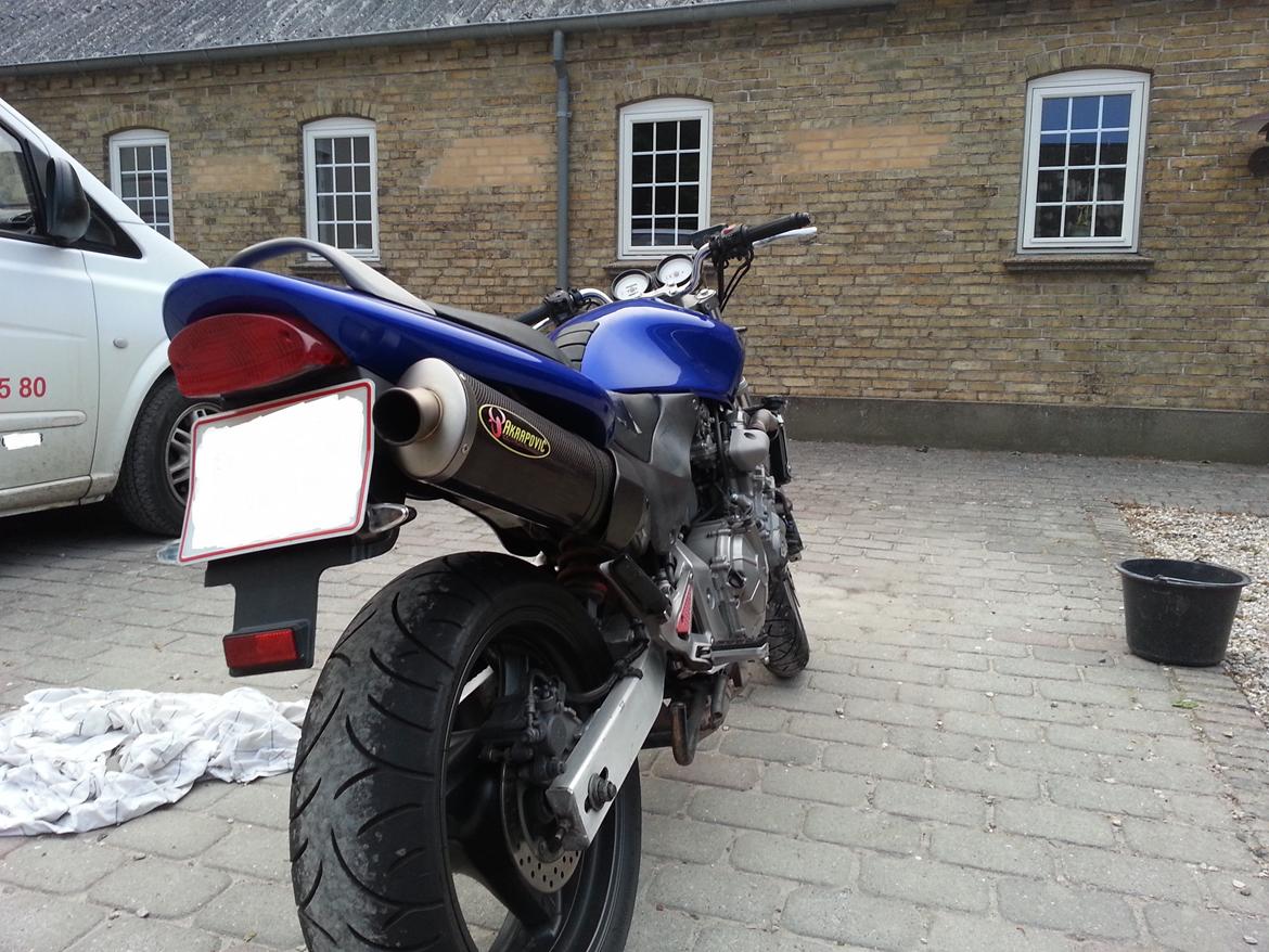 Honda CB600f Hornet billede 7