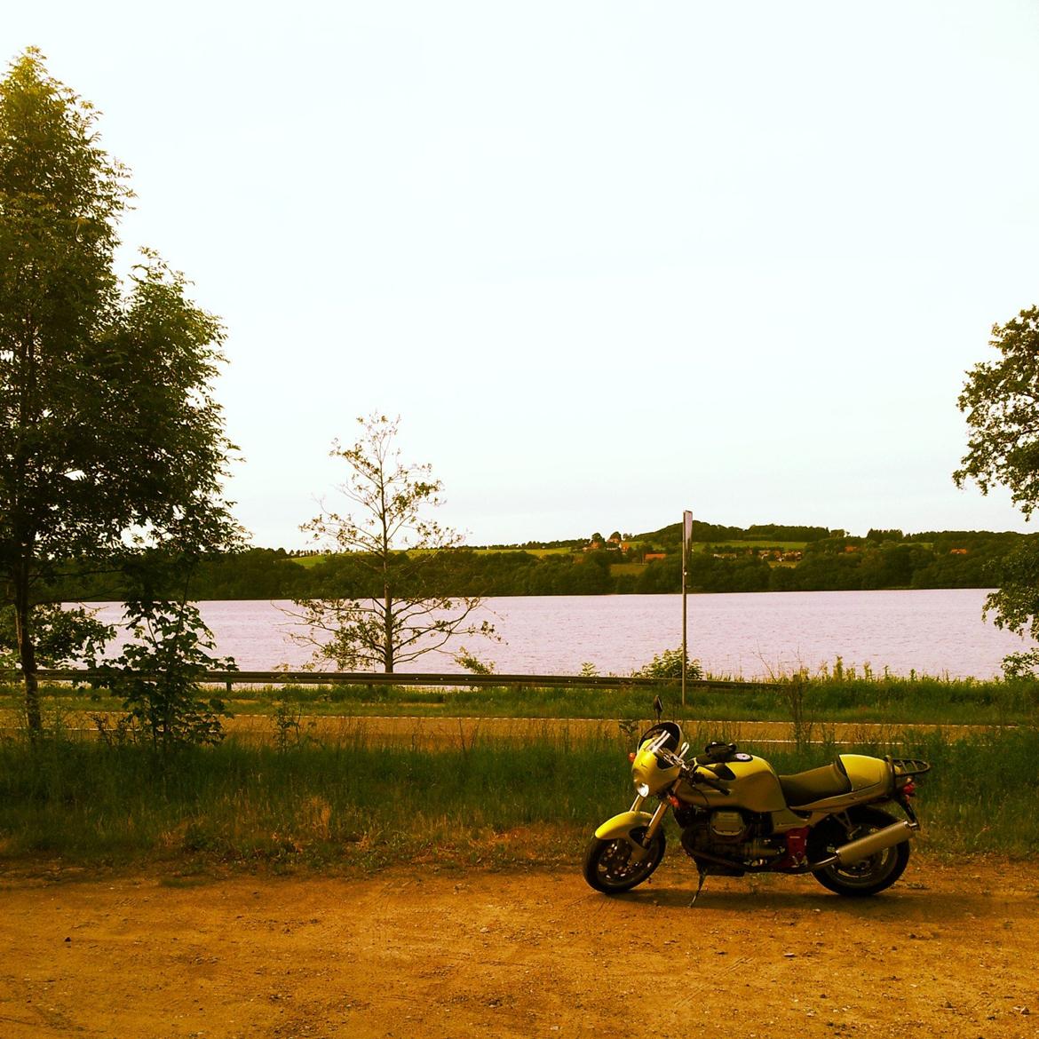 Moto Guzzi V11 Sport billede 2