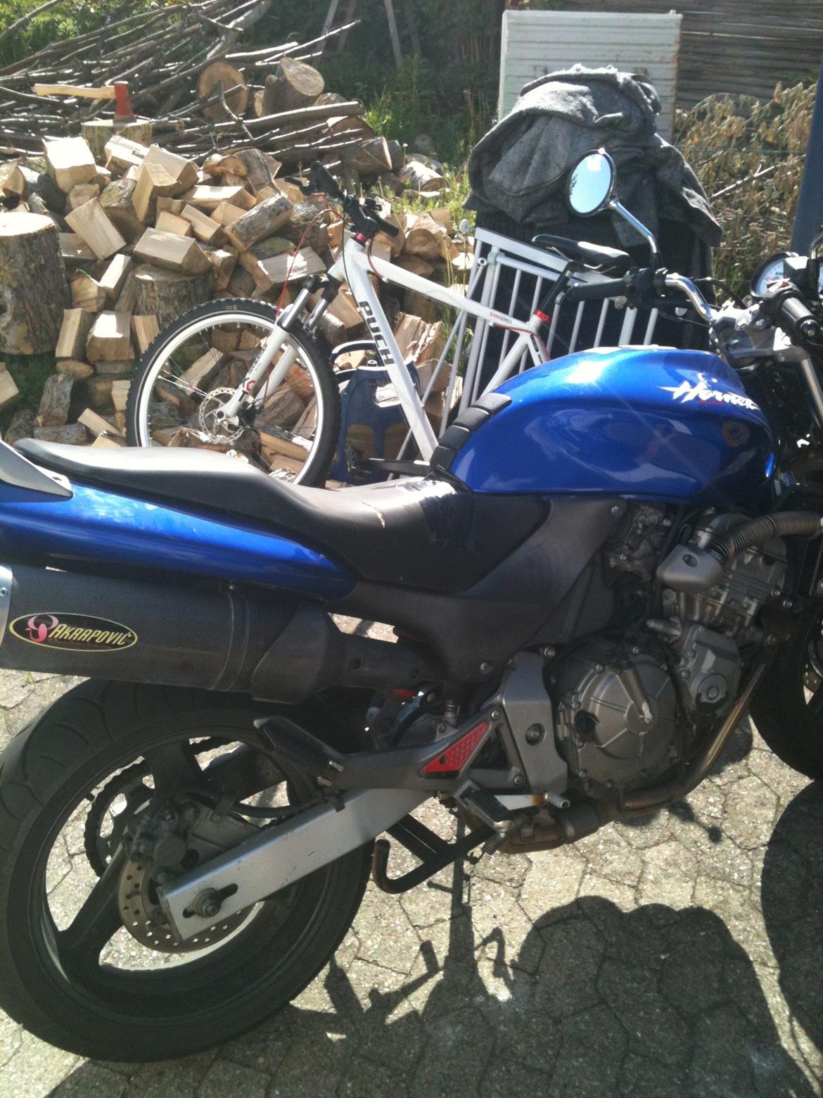 Honda CB600f Hornet billede 14