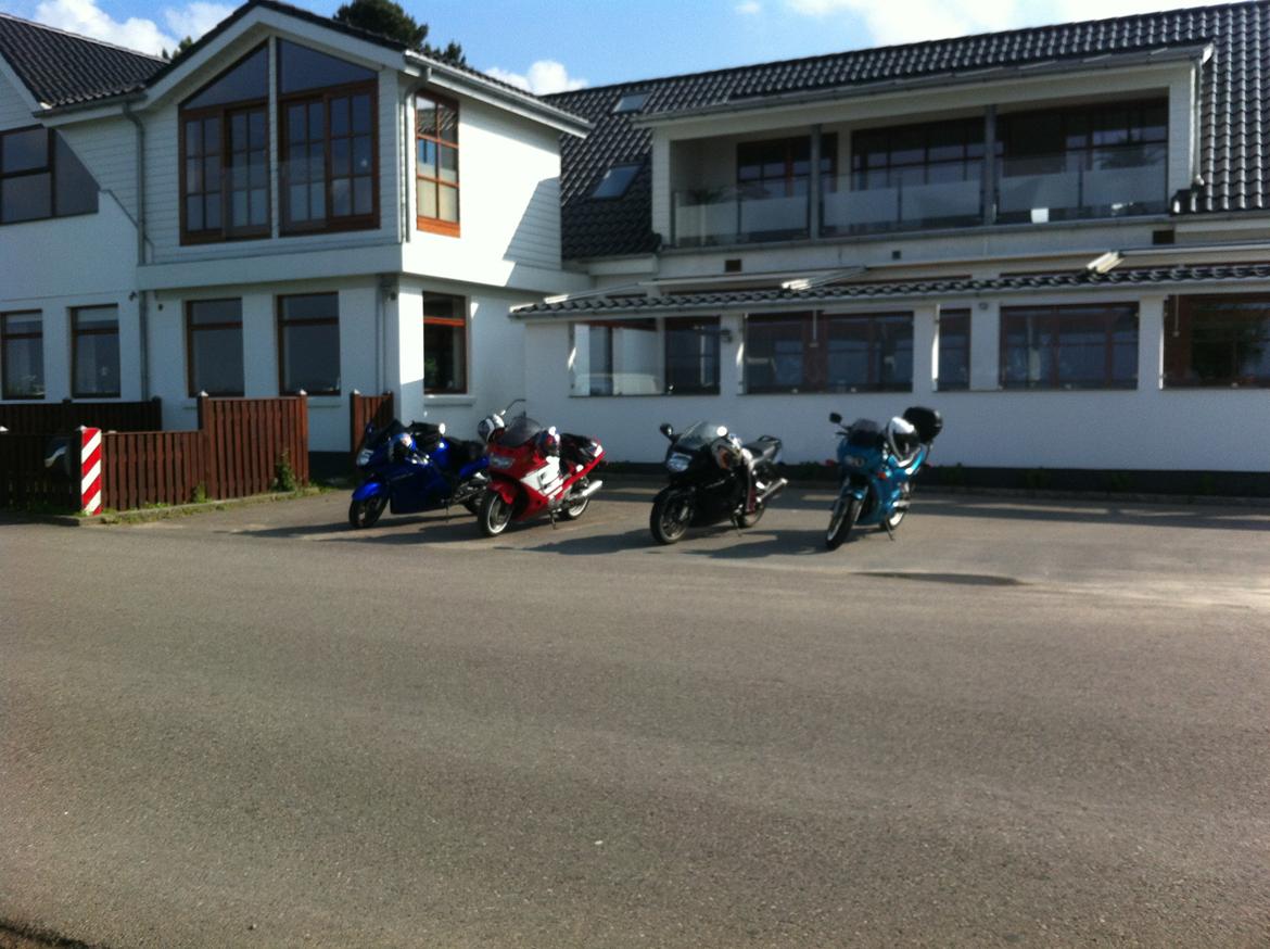 Honda cbr 1100 Super blackbird billede 11