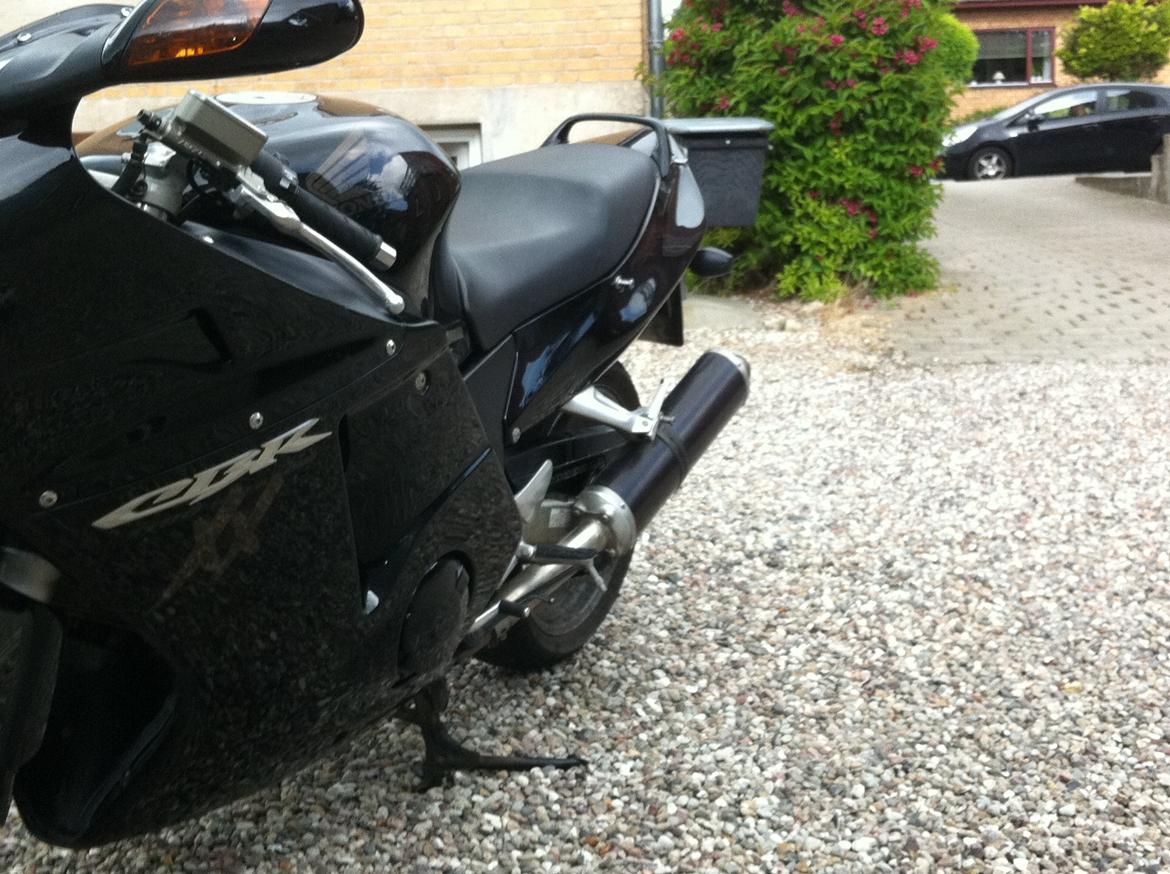 Honda cbr 1100 Super blackbird billede 3