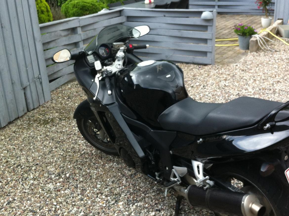 Honda cbr 1100 Super blackbird billede 5