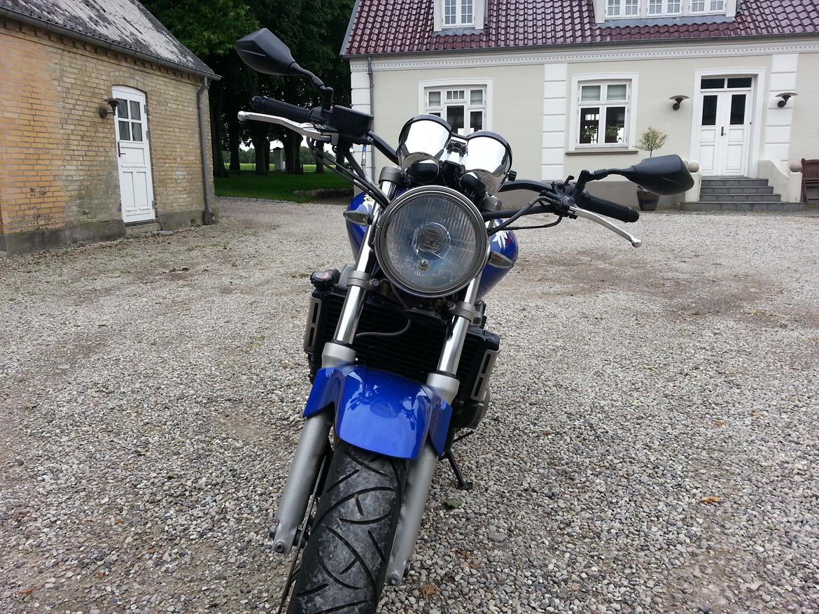 Honda CB600f Hornet billede 5