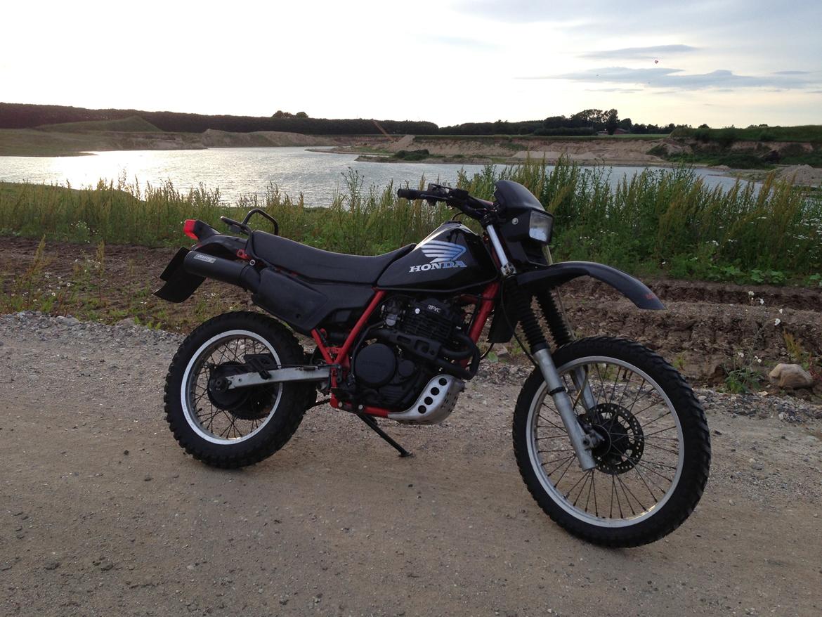 Honda XL 600 R billede 1