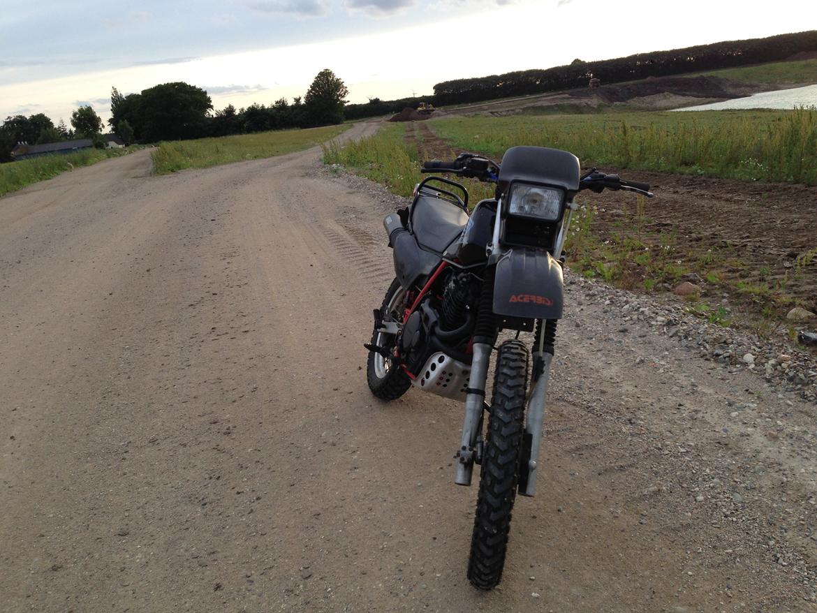 Honda XL 600 R billede 6