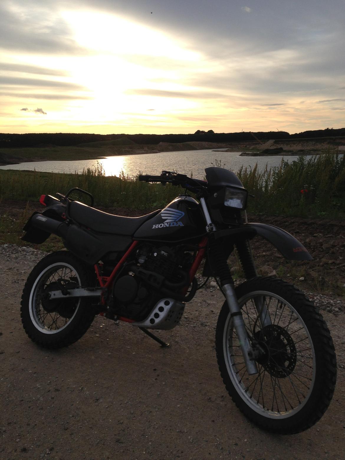 Honda XL 600 R billede 7