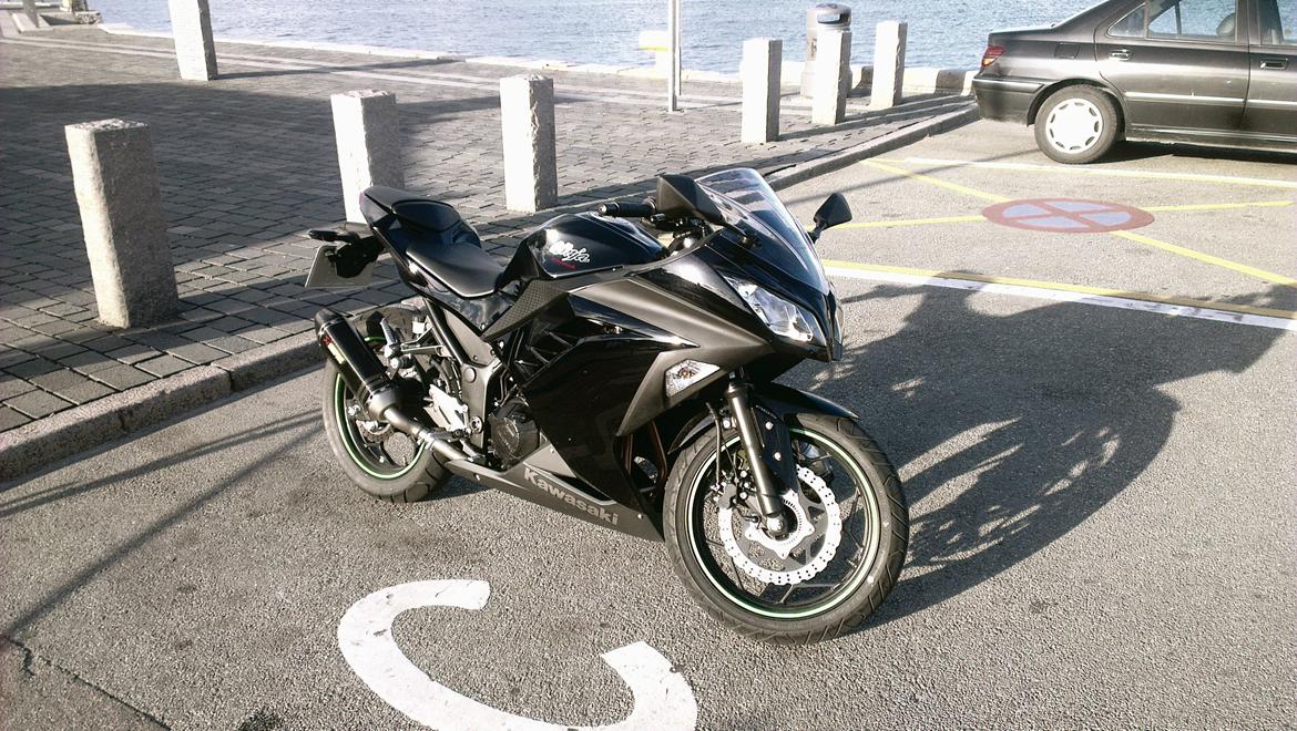 Kawasaki Ninja 300 ABS billede 15