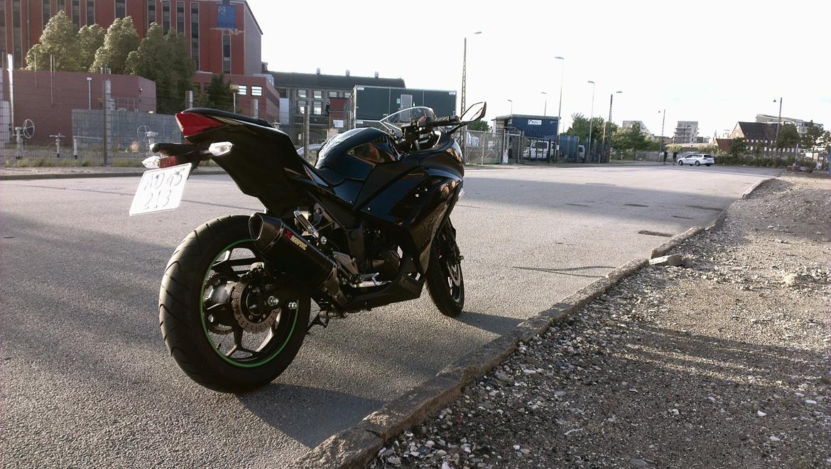 Kawasaki Ninja 300 ABS billede 7