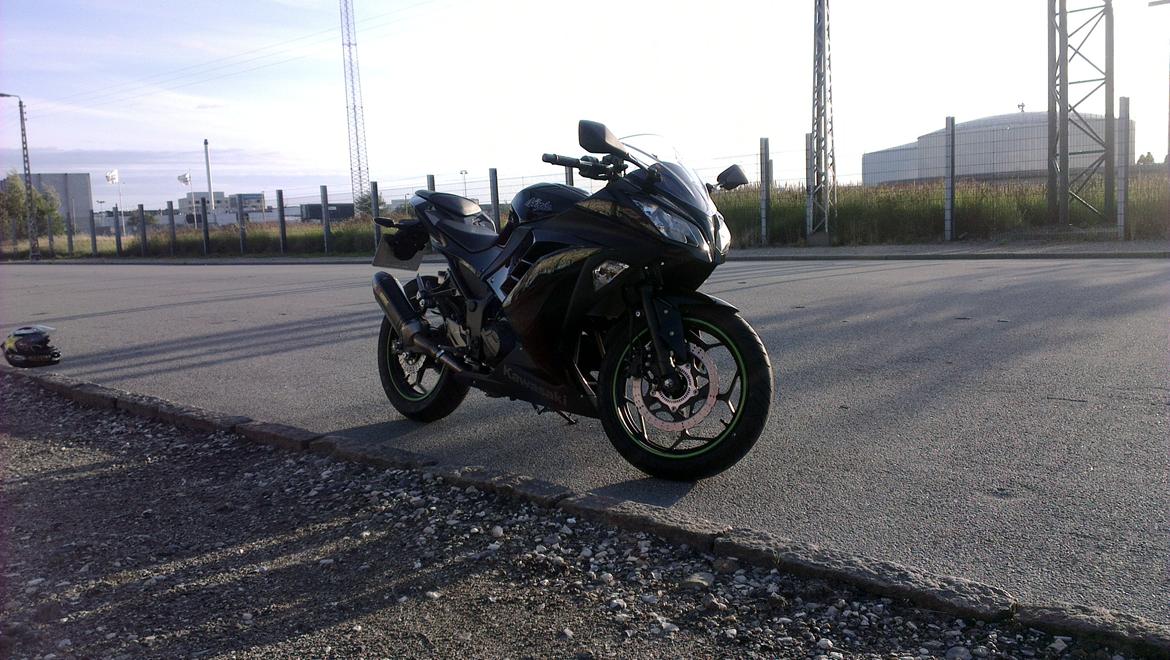 Kawasaki Ninja 300 ABS billede 8