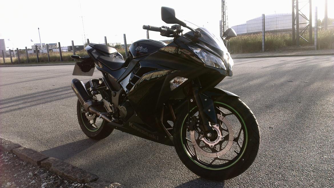 Kawasaki Ninja 300 ABS billede 1