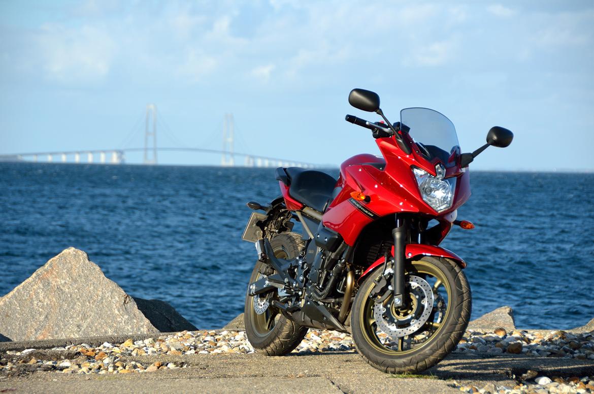 Yamaha XJ6 Diversion billede 19