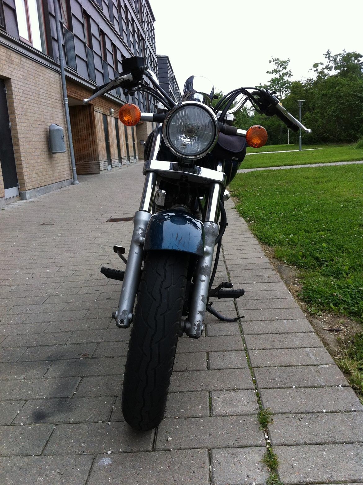 Suzuki GZ 250 Marauder billede 6