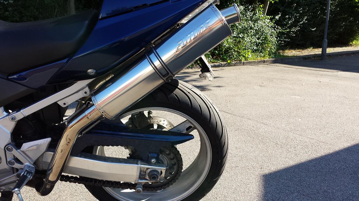 Suzuki SV1000 S billede 7