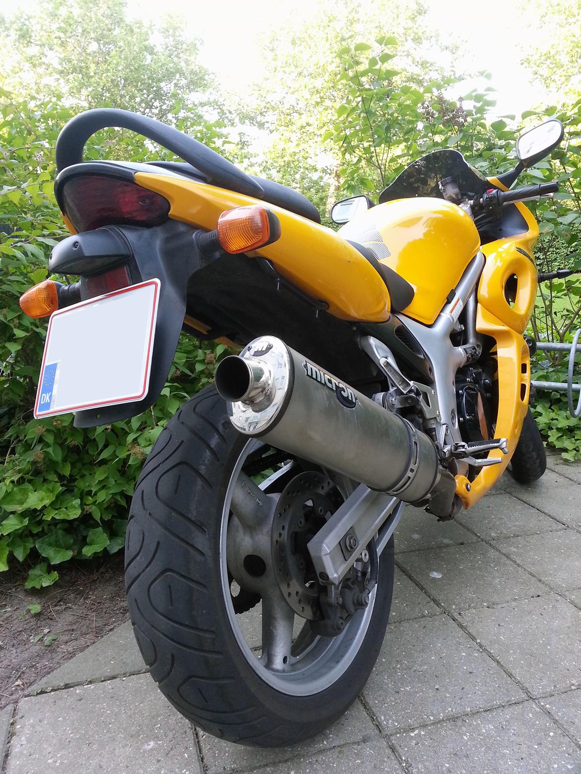 Suzuki SV 650 S - Den ser rå nok ud bagfra. Selv i dag! billede 4